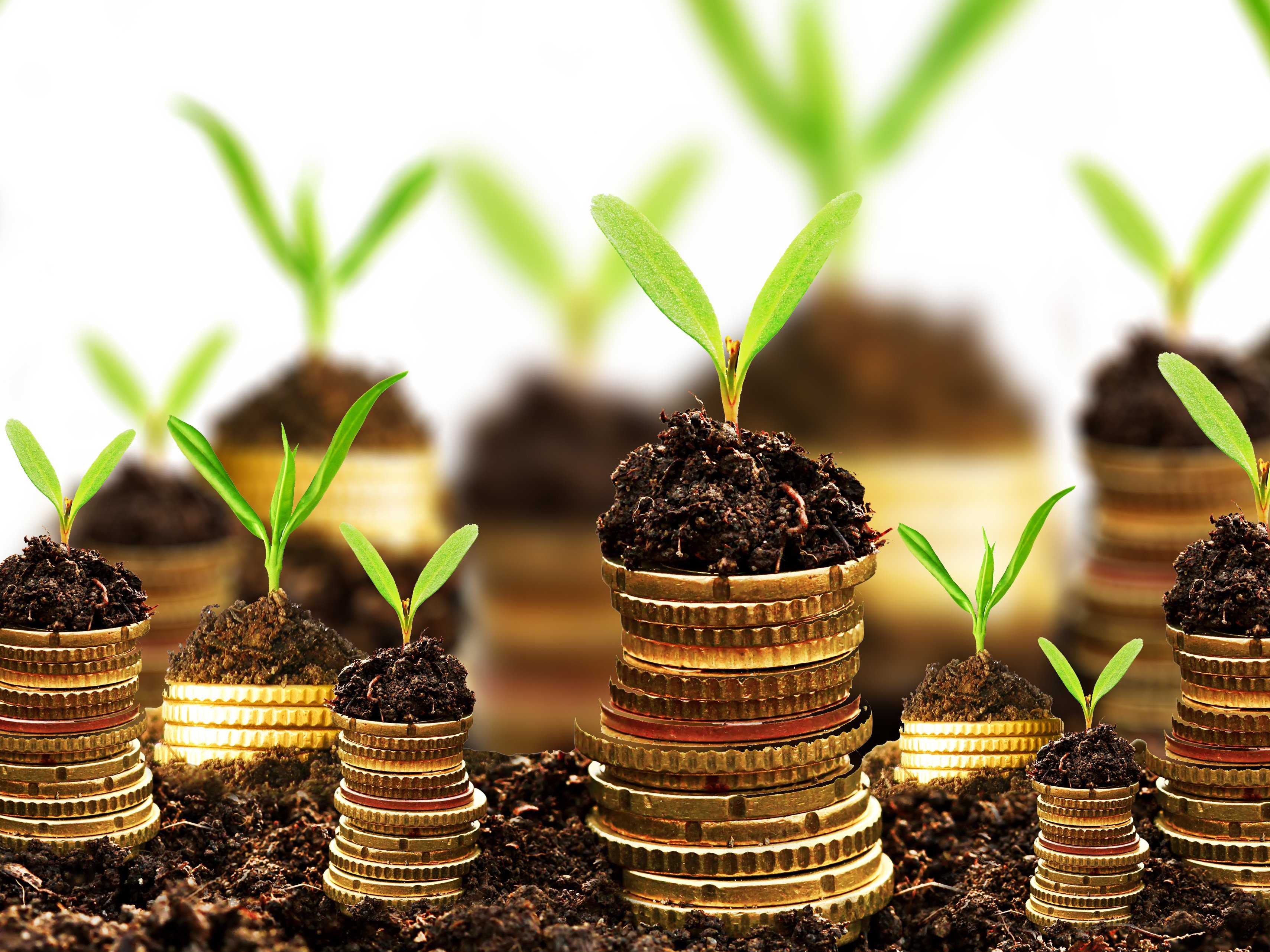 Non-Financial Managers